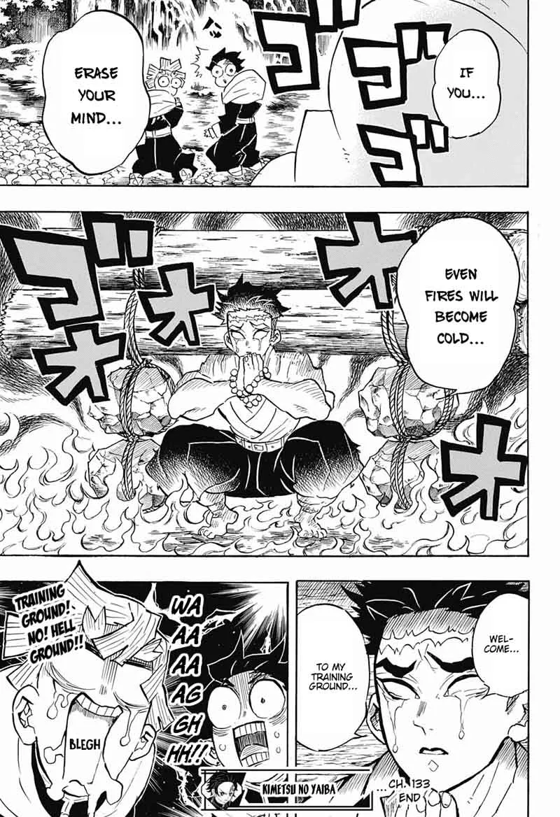 Chapter 133, page 17